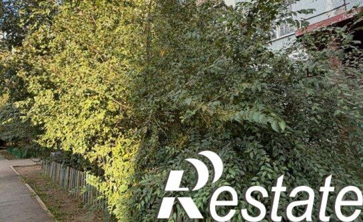 1-комн квартира проспект Фадеева, 35,  д. 35