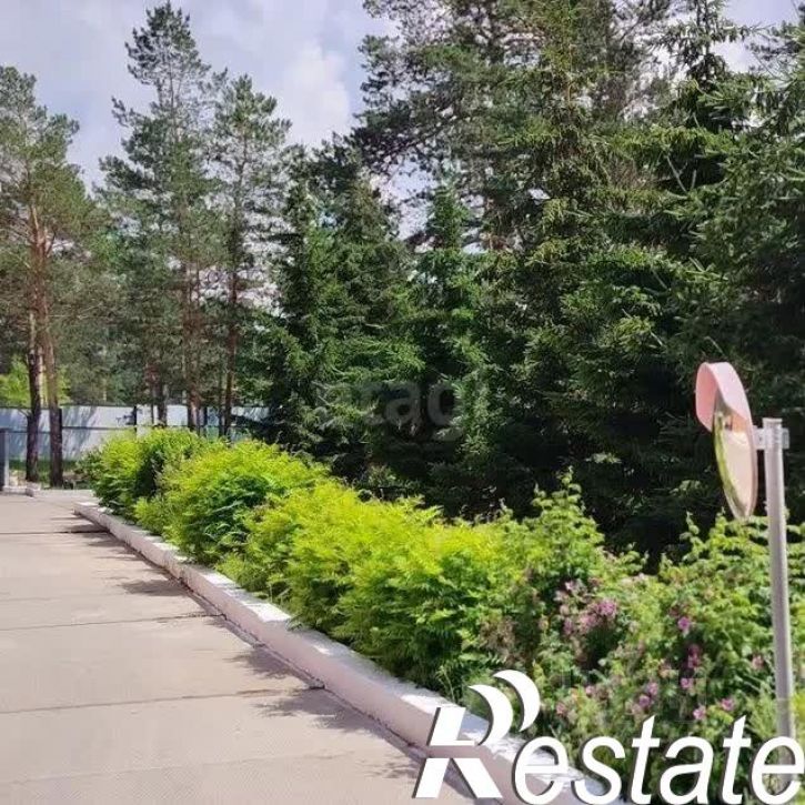 4-комн квартира городской округ Чита